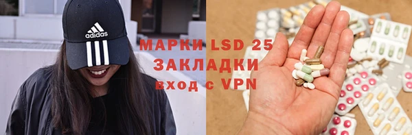 стафф Сосновый Бор