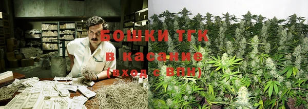 стафф Сосновый Бор