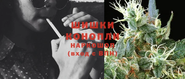 стафф Сосновый Бор