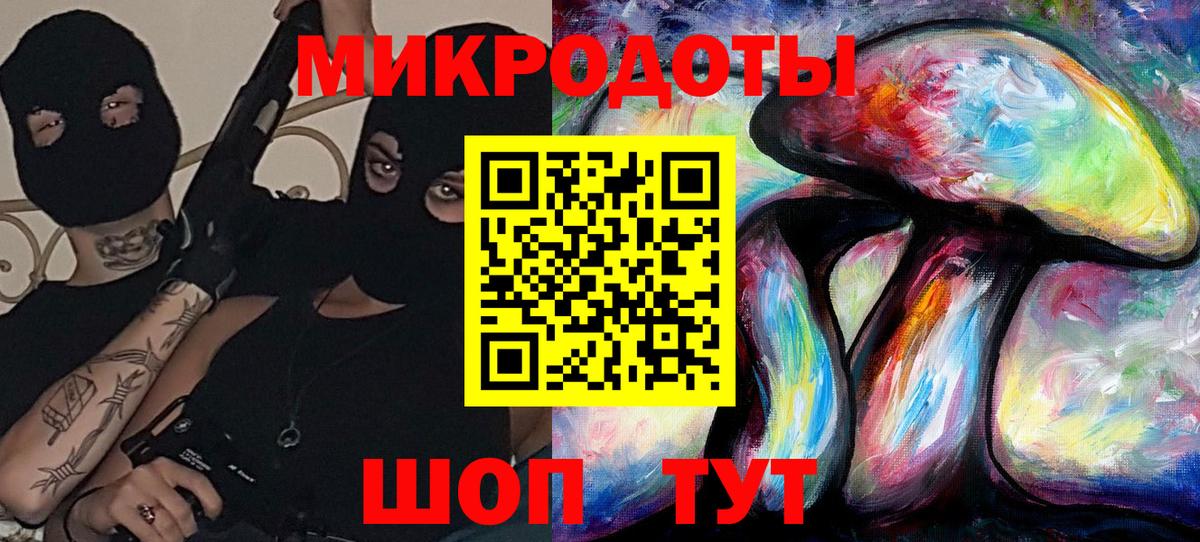 Галлюциногенные грибы Psilocybine cubensis Великий Новгород