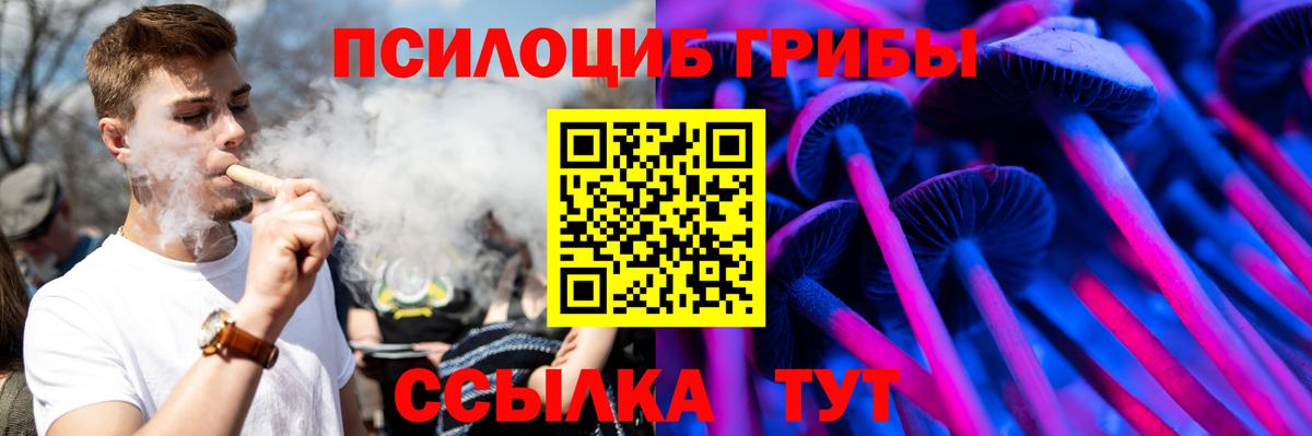 Великий Новгород  Галлюциногенные грибы Magic Shrooms  Вход с VPN 